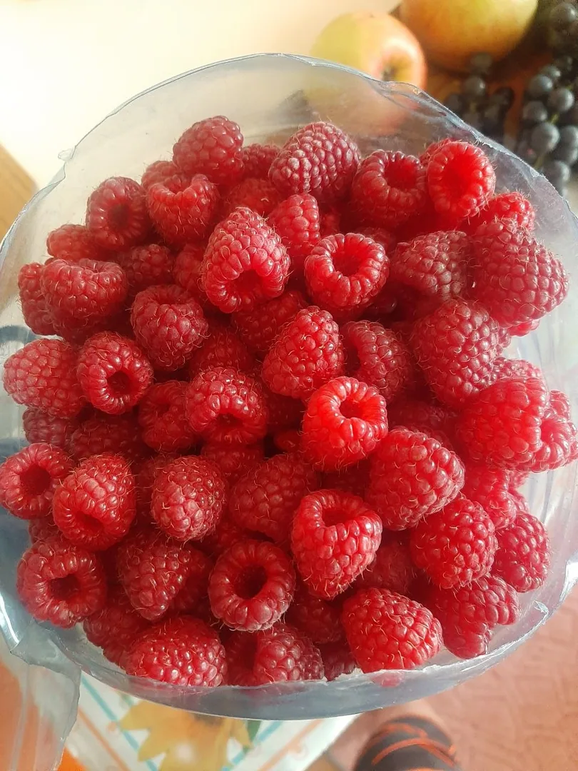 Малина с куста, сухая