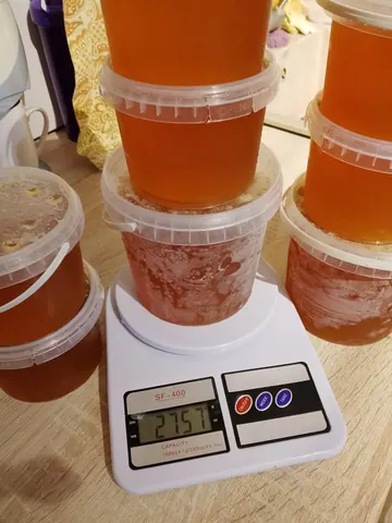 Мёд разнотравье