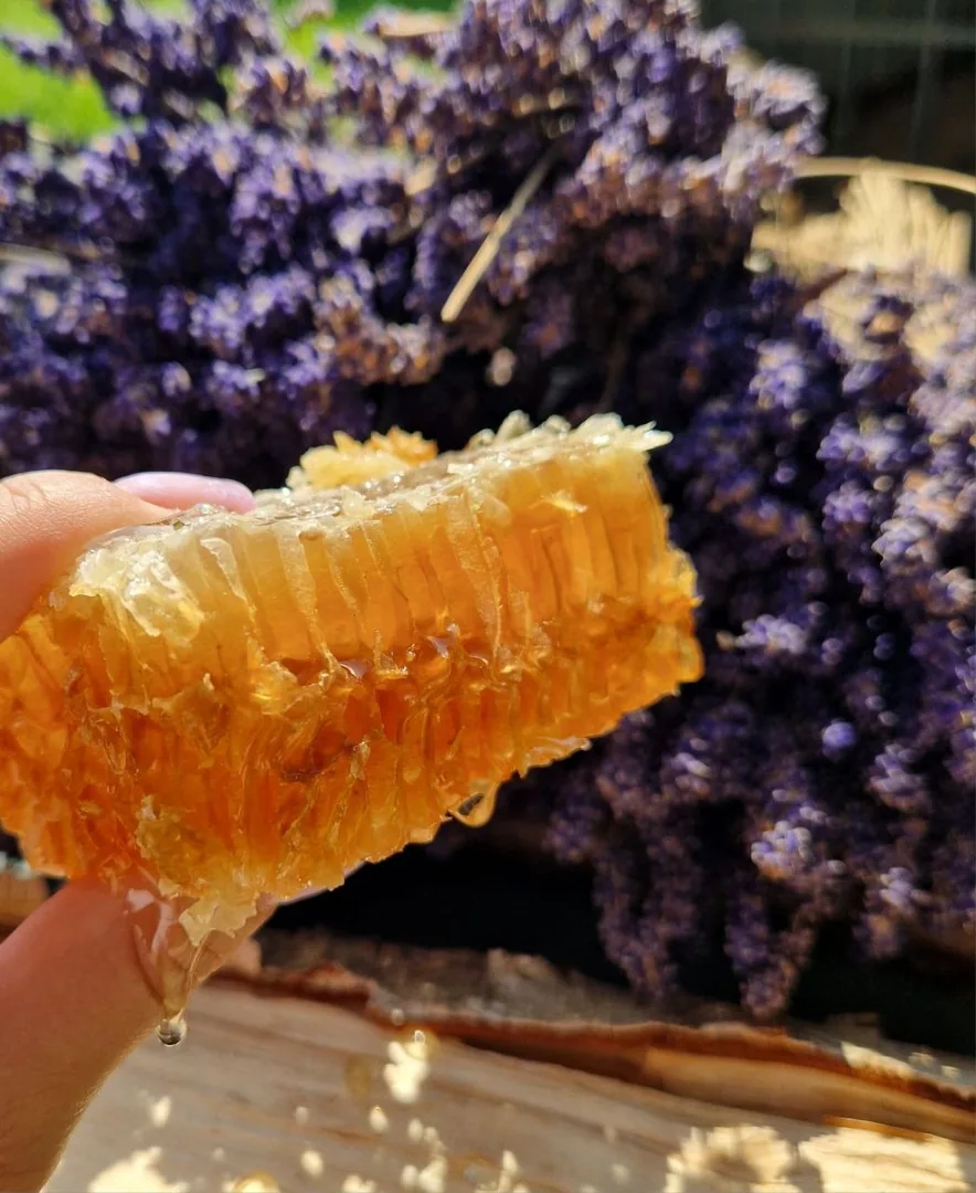 Мёд цветочный и гречишный, соты, продукты пчеловодства — фото 8
