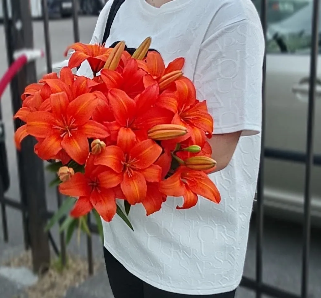 Луковицы лилии азиатской Orange Summer — фото 2