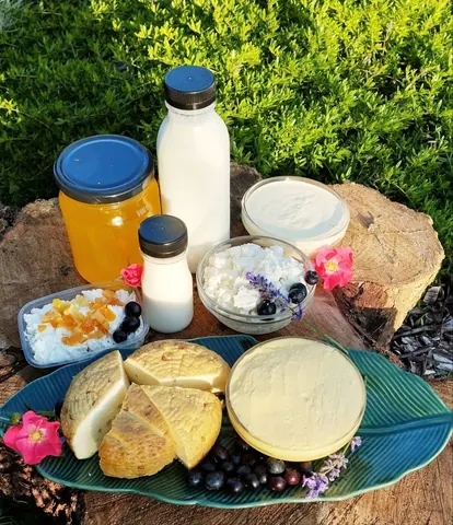 Молочные продукты и мясо домашней птицы