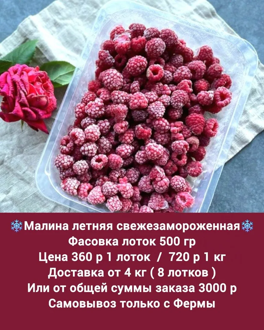 Свежезамороженная летняя малина