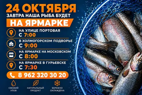 Калининградская форель, свежая, утренний улов