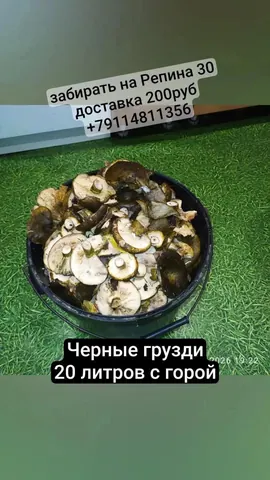 Черные грузди, калина, шиповник и лесные травы