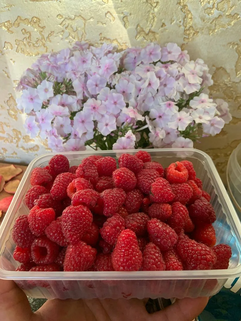Продажа, цена за литр