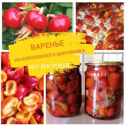 Варенье из шиповника без косточек, шиповник свежий