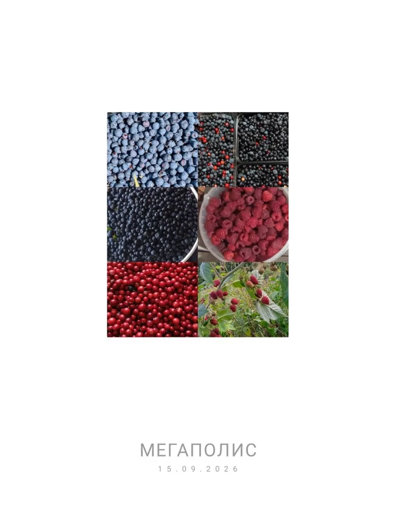 Ягоды: малина, черника, клюква, ассорти
