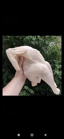 Петухи мясные и суповые, доставка по городу