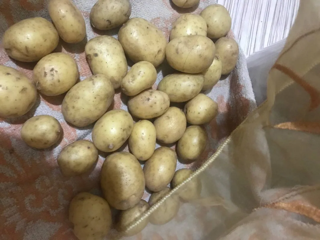 Картофель молодой