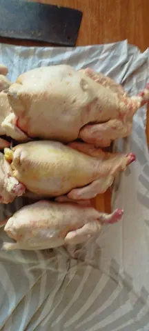 Курочки суповые