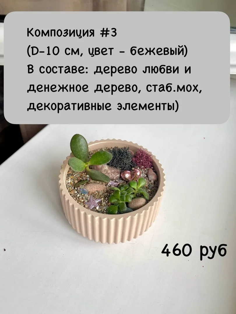Композиции из живых растений к Дню учителя — фото 3