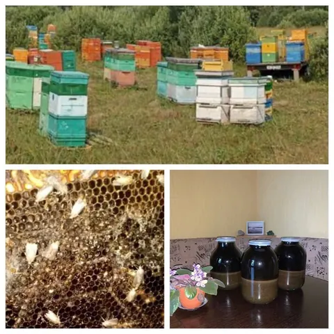 Экстракт огнёвки пчелиной 50% с личной пасеки