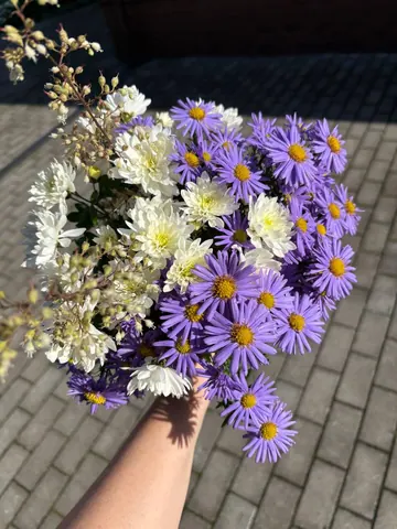 Осенние букеты