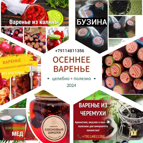 Калина: варенье, заморозка, сушеная