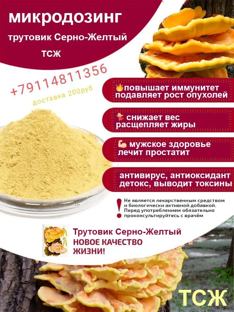 Трутовик серно-жёлтый сухой, Мухомор красный для микродозинга