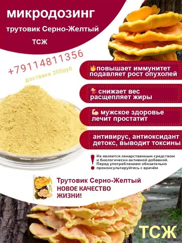Трутовик серно-жёлтый сухой, Мухомор красный для микродозинга