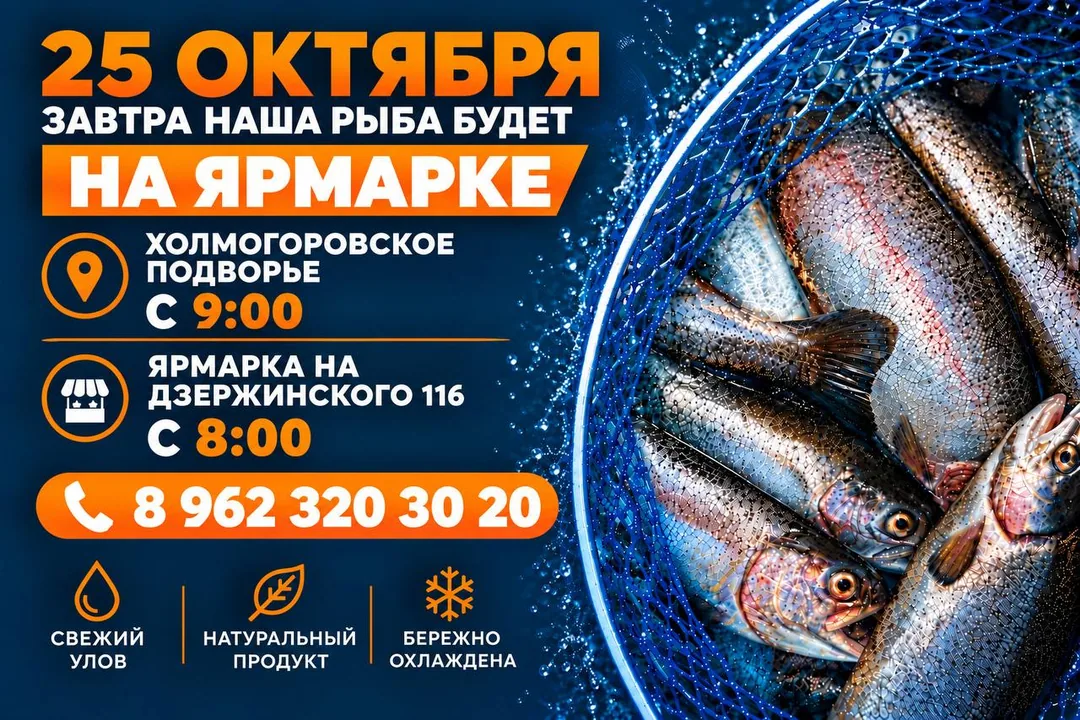 Калининградская форель, свежевыловленная