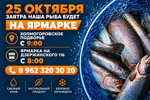 Калининградская форель, свежевыловленная