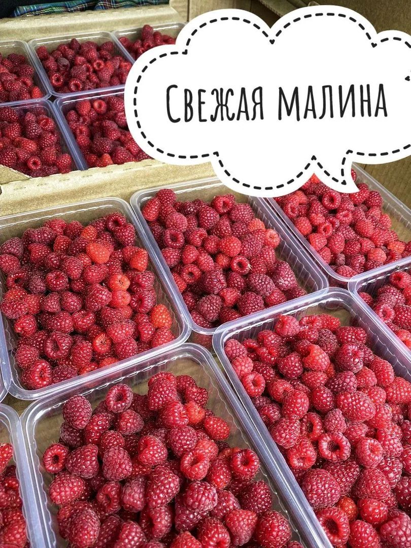 Свежая малина, литровый лоток — фото 4