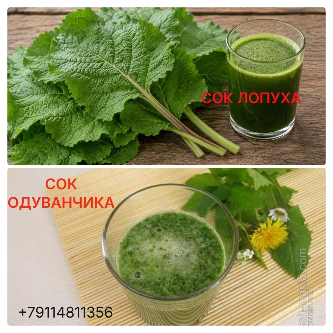 Опята, грузди солёные, соки лопуха и одуванчика