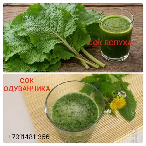 Опята, грузди солёные, соки лопуха и одуванчика