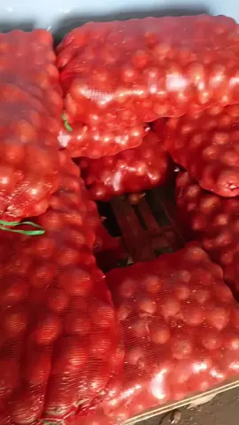 Сухой лук и картофель Беларусь, первый сорт