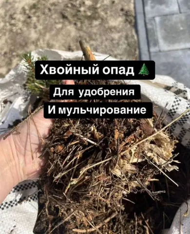 Хвойный опад (перегной) с микоризой, мешок 50 л