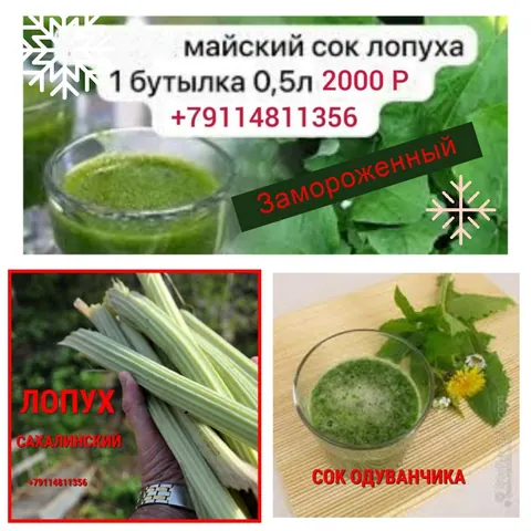 Сок лопуха, корень лопуха, настойка лопуха