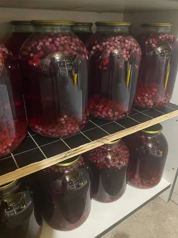 Домашний компот из смородины, яблока, сливы и вишни