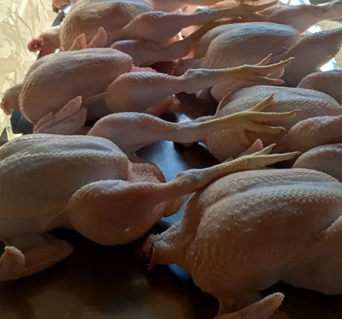 Курица бройлер, забой под заказ