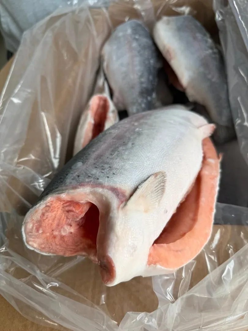 Форель морская потрошёная с головой, 3–4 кг