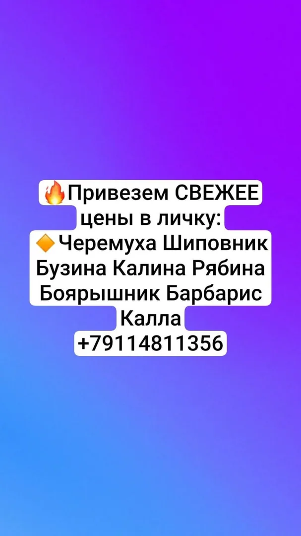 Травяные сборы и черные грузди — фото 3