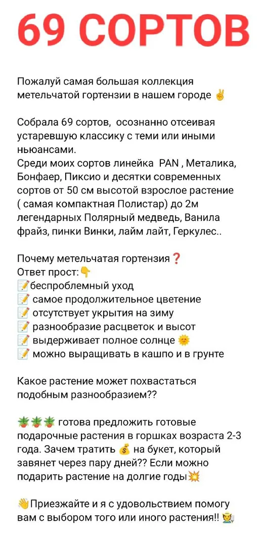 Многолетние растения: гортензии, хосты, гейхеры, молодые растения в грунте — фото 7