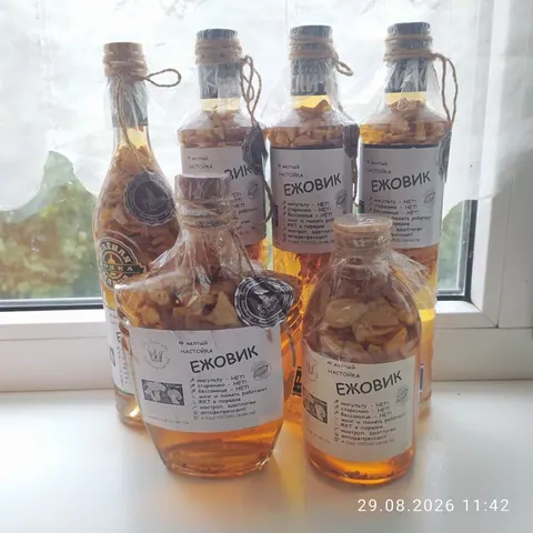 Настойка ежовик, ежевика, шиповник морской