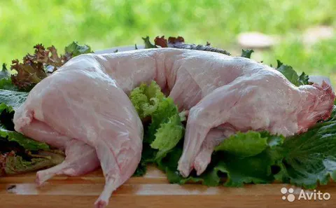 Мясо кролика