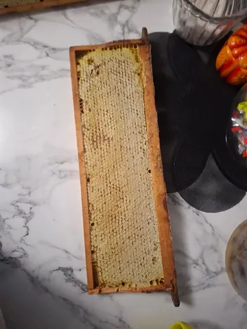 Мёд в сотах, малина