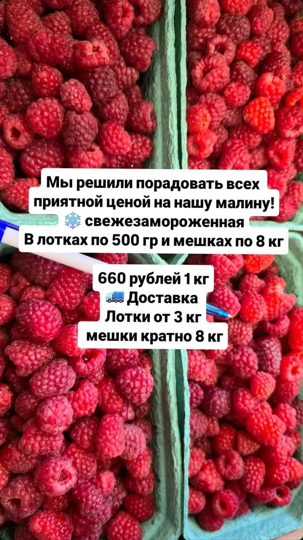 Свежезамороженная летняя малина — фото 2