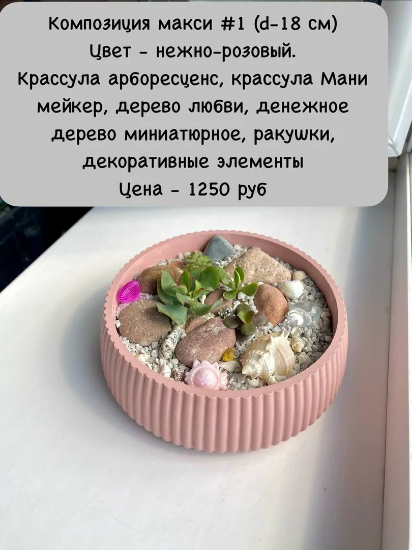 Композиции из живых растений к Дню учителя — фото 2