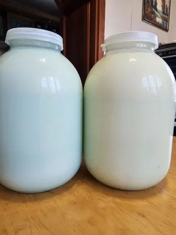 Домашнее молоко, жирное