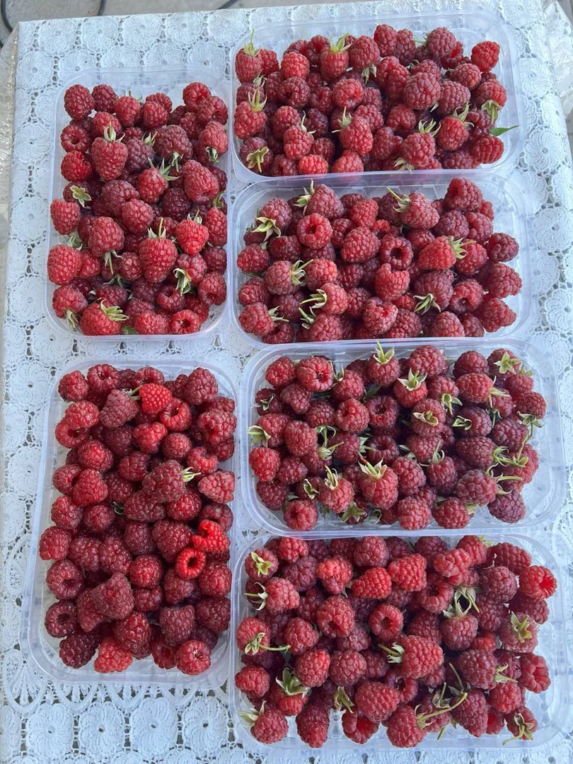 Малина сортовая, свежесобранная