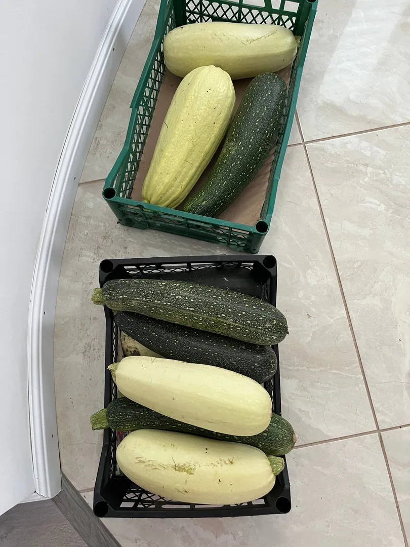 Кабачки