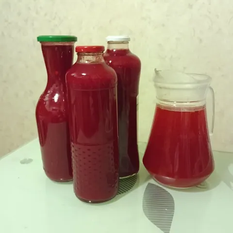 Сок калины, 1 л