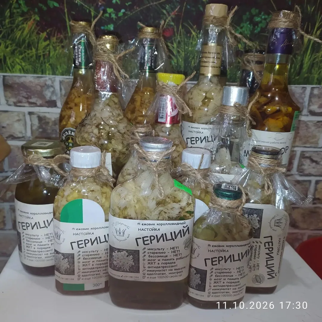 Настойка ежовика, девясил, сосновые шишки