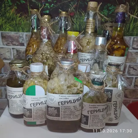 Настойка ежовика, девясил, сосновые шишки