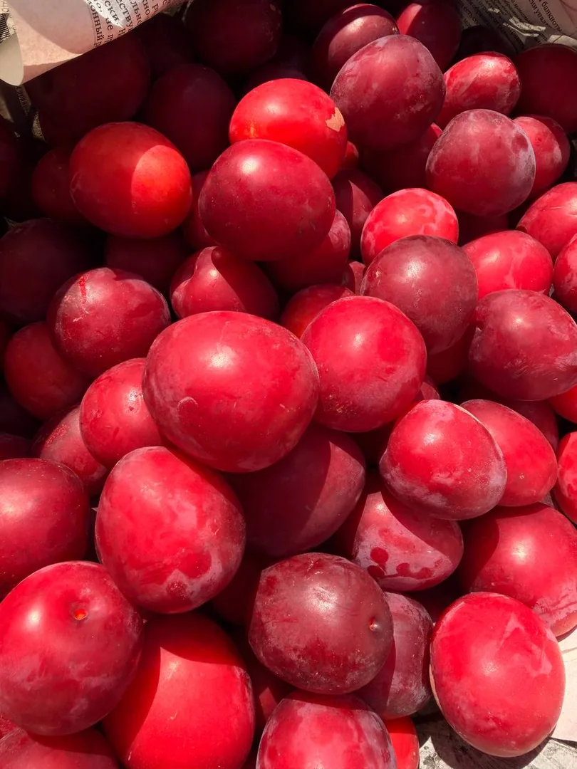 Черника, брусника, малина, яйца, грибы, мёд и овощи — фото 8