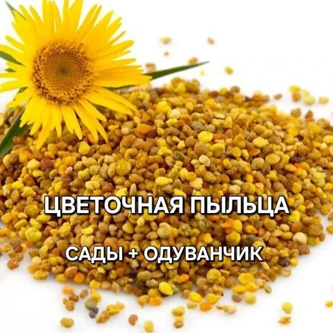 Продукты пчеловодства: пыльца, настойки, трутневый гомогенат — фото 3