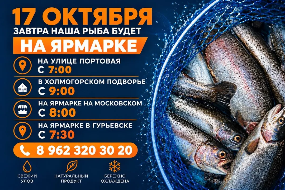 Калининградская форель собственного производства — фото 2