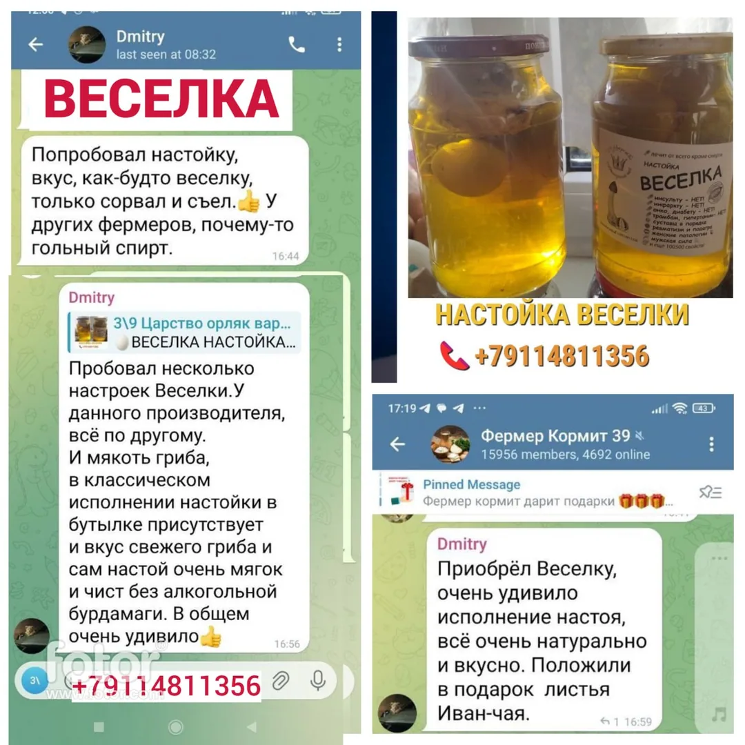 Веселка настойка, чага и солёные грузди