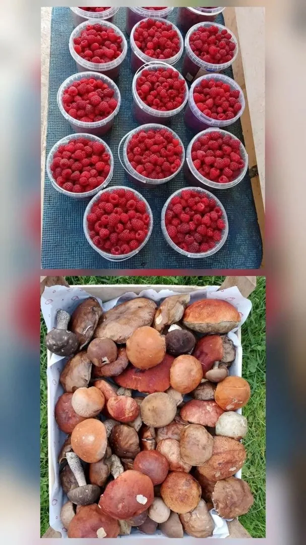 Малина, грибы микс