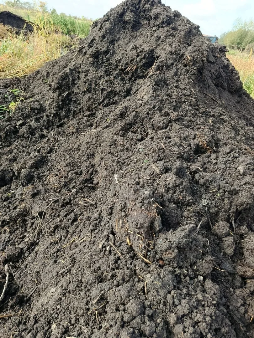 Перегной КРС и свежий навоз, доставка самосвалом — фото 2